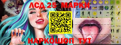 гидропоника Новокубанск