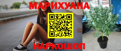 гидропоника Новокубанск