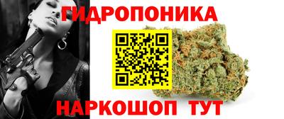 твердый Новодвинск