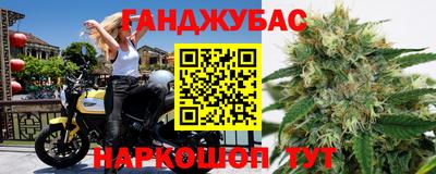 гидропоника Новокубанск